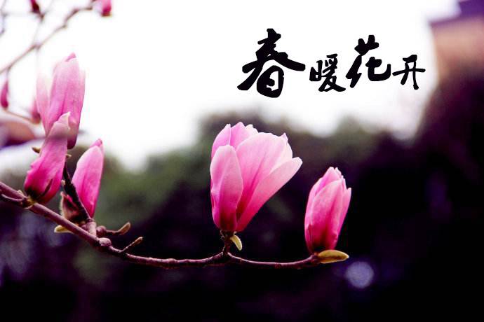 春暖花開(kāi) 教你春季如何做汽車(chē)保養(yǎng)！