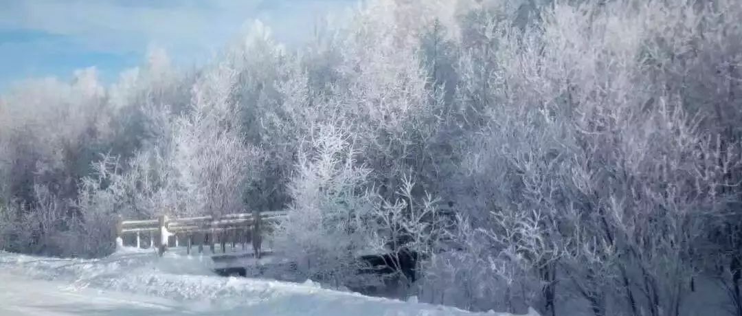 奕行記|奕路向北，駛向雪國(guó)阿爾山